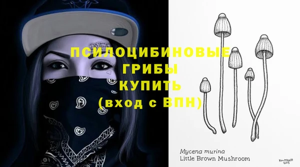 меф Мегион