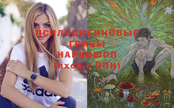 таблы Медвежьегорск