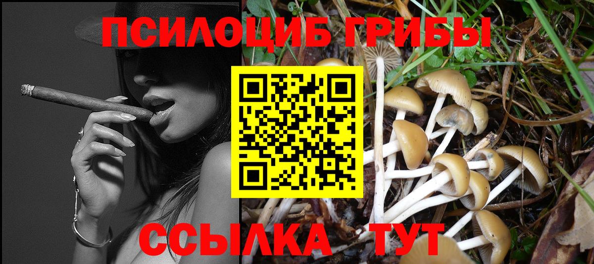 Метамфетамин  Мытищи  МДМА  Марки ЛСД  НБОМе  Где продают наркотики?  Мяу-Мяу  Вход с VPN  Экстази  КОКАИН  Бошки Шишки 