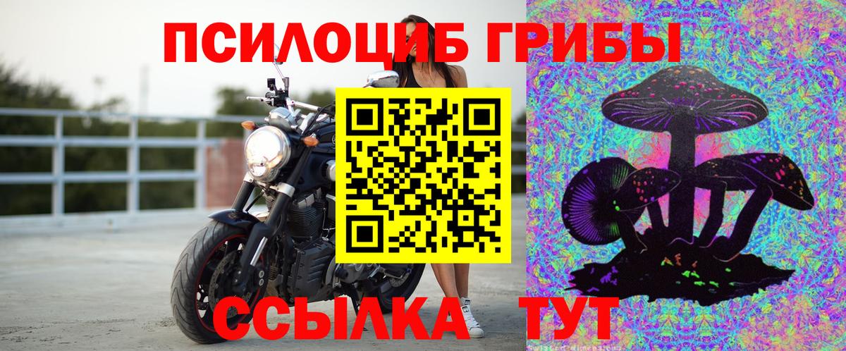 Псилоцибиновые грибы мицелий  Вход с VPN  Мытищи 