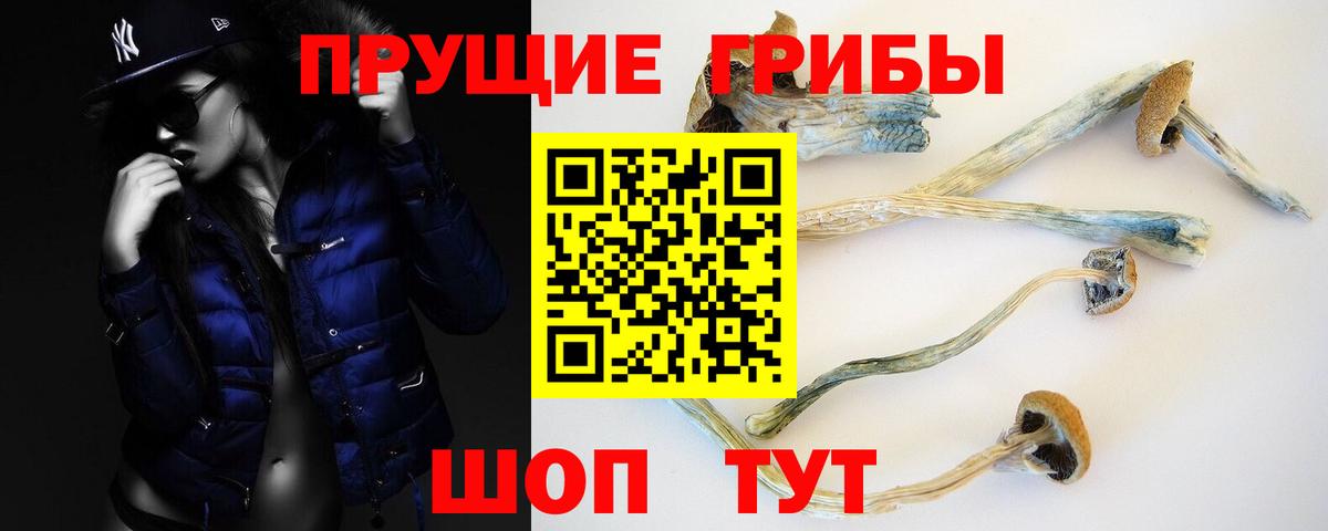 Галлюциногенные грибы прущие грибы  наркошоп  Мытищи  Псилоцибиновые грибы ЛСД 